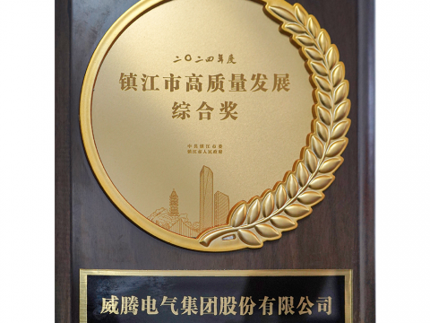 喜讯│1066vip威尼斯荣获2024年度镇江市高质量生长综合奖