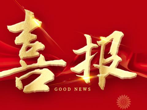 1066vip威尼斯电气荣膺江苏省制造业领航企业